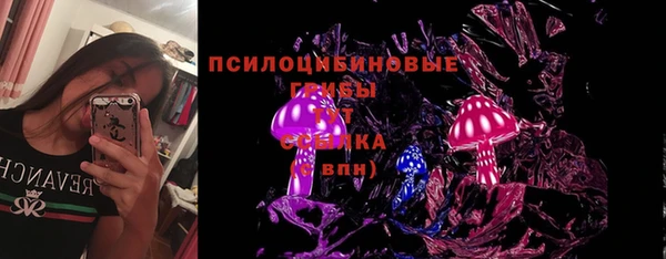 стаф Арсеньев