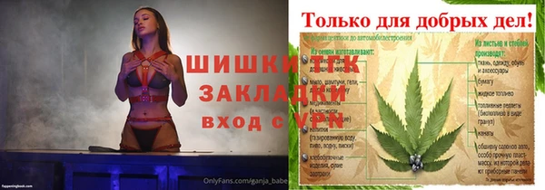 стаф Арсеньев