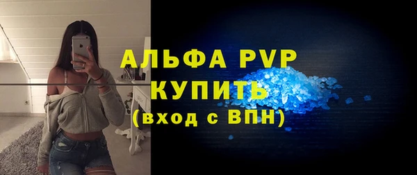 стаф Арсеньев