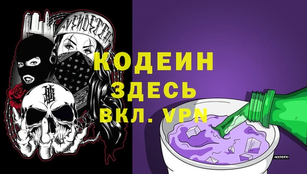 индика Березники