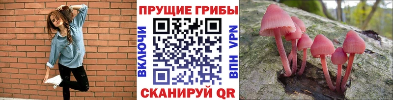цены   MEGA ТОР  Галлюциногенные грибы ЛСД  Карачаевск 