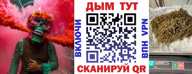 Бошки марихуана ГИДРОПОН  darknet официальный сайт  Карачаевск  МЕГА ссылки 